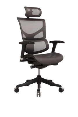 Ergostyle-2