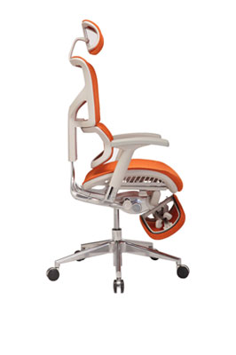 Ergostyle-4